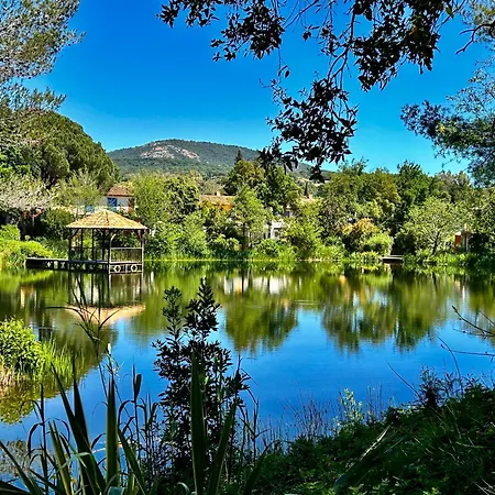 Lägenhet Les Restanques Roses 1178 Vue Grimaud
